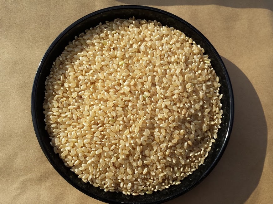 写真の説明を入れます